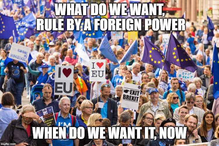 peoples march | WHAT DO WE WANT, RULE BY A FOREIGN POWER; WHEN DO WE WANT IT, NOW | image tagged in eu | made w/ Imgflip meme maker