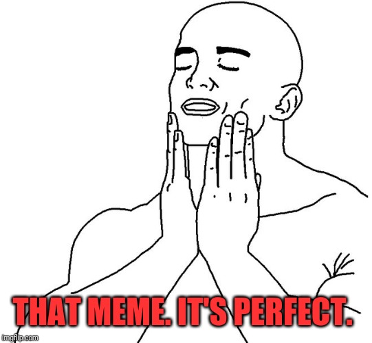 Satisfaction | THAT MEME. IT'S PERFECT. | image tagged in satisfaction | made w/ Imgflip meme maker