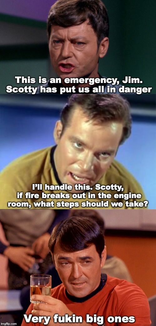 Panic Aboard The Enterprise | This is an emergency, Jim. Scotty has put us all in danger; I’ll handle this. Scotty, if fire breaks out in the engine room, what steps should we take? Very fukin big ones | image tagged in star trek,captain kirk,scotty,bones,emergency | made w/ Imgflip meme maker