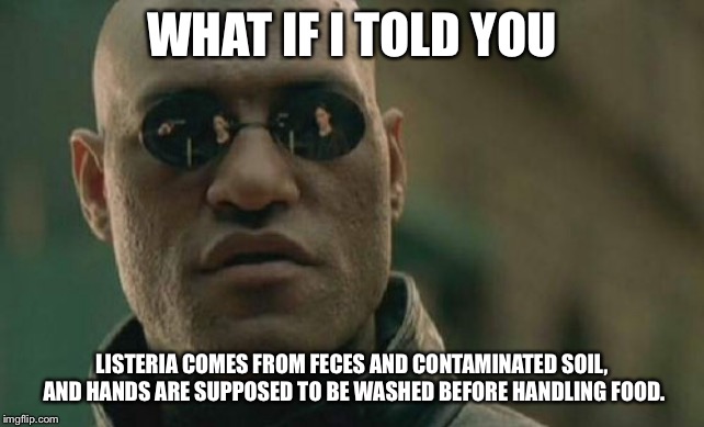 Matrix Morpheus Meme | WHAT IF I TOLD YOU LISTERIA COMES FROM FECES AND CONTAMINATED SOIL, AND HANDS ARE SUPPOSED TO BE WASHED BEFORE HANDLING FOOD. | image tagged in memes,matrix morpheus | made w/ Imgflip meme maker