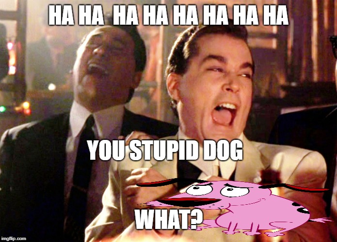 Good Fellas Hilarious | HA HA  HA HA HA HA HA HA; YOU STUPID DOG; WHAT? | image tagged in memes | made w/ Imgflip meme maker