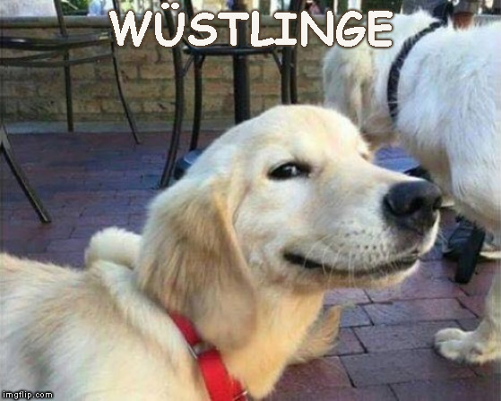 dog smiling | WÜSTLINGE | image tagged in dog smiling | made w/ Imgflip meme maker