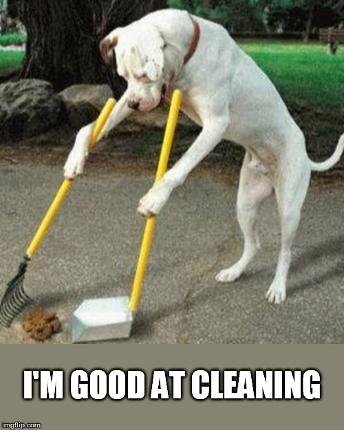 dog cleaning shit | I'M GOOD AT CLEANING | image tagged in dog cleaning shit | made w/ Imgflip meme maker