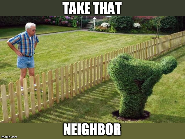 TAKE THAT NEIGHBOR | made w/ Imgflip meme maker