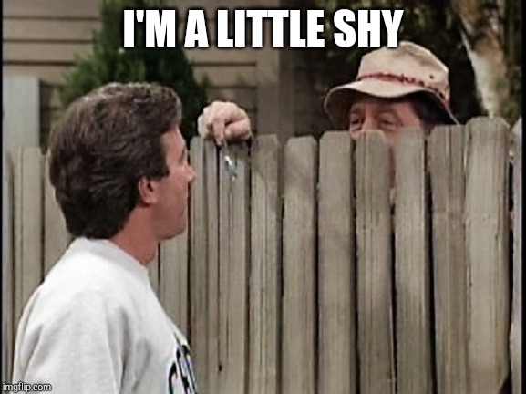 Home Improvement Tim and Wilson | I'M A LITTLE SHY | image tagged in home improvement tim and wilson | made w/ Imgflip meme maker