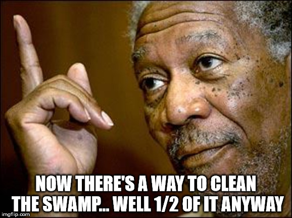 This Morgan Freeman | NOW THERE'S A WAY TO CLEAN THE SWAMP... WELL 1/2 OF IT ANYWAY | image tagged in this morgan freeman | made w/ Imgflip meme maker