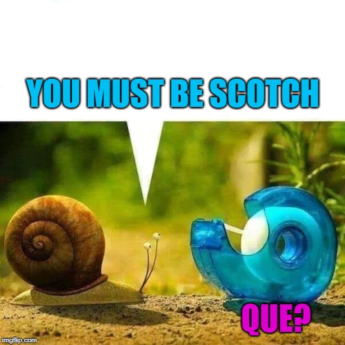 YOU MUST BE SCOTCH QUE? | made w/ Imgflip meme maker