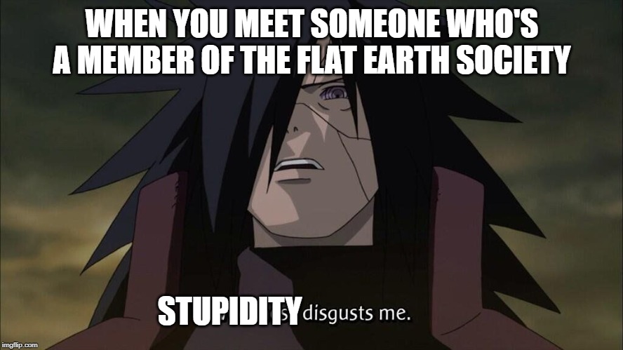 Weakness disgusts me | WHEN YOU MEET SOMEONE WHO'S A MEMBER OF THE FLAT EARTH SOCIETY; STUPIDITY | image tagged in weakness disgusts me | made w/ Imgflip meme maker