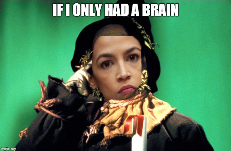 Imaging what she could do if she had a brain! | IF I ONLY HAD A BRAIN | image tagged in aoc is dumb,memes,aoc is scarecrow | made w/ Imgflip meme maker