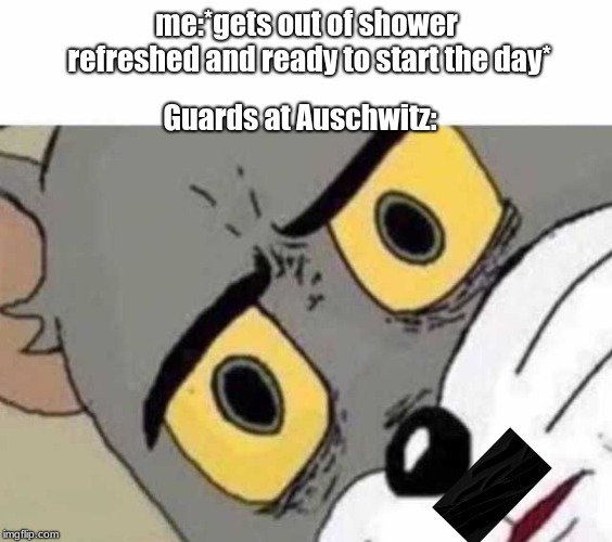 Tom Cat Unsettled Close up | Guards at Auschwitz:; me:*gets out of shower refreshed and ready to start the day* | image tagged in tom cat unsettled close up | made w/ Imgflip meme maker