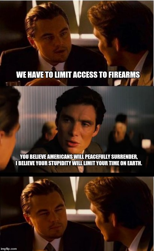 How about you keep your rights and we will keep ours. | WE HAVE TO LIMIT ACCESS TO FIREARMS; YOU BELIEVE AMERICANS WILL PEACEFULLY SURRENDER, I BELIEVE YOUR STUPIDITY WILL LIMIT YOUR TIME ON EARTH. | image tagged in memes,inception,2nd amendment,guns save lives,gun control is people control,dems are nuts | made w/ Imgflip meme maker