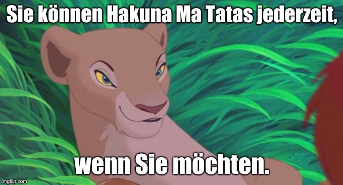 Hakuna Ma-WASSA?!?! (Link to translation in comments) | Sie können Hakuna Ma Tatas jederzeit, wenn Sie möchten. | image tagged in lion king nala,memes,german,hakuna matata,funny | made w/ Imgflip meme maker