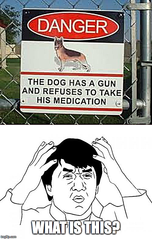 Rebel Dog | WHAT IS THIS? | image tagged in memes,jackie chan wtf | made w/ Imgflip meme maker