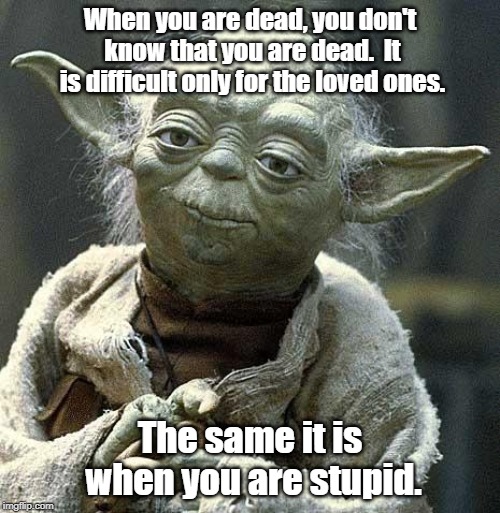 Yoda Wisdom | When you are dead, you don't know that you are dead.  It is difficult only for the loved ones. The same it is when you are stupid. | image tagged in yoda,stupid,memes | made w/ Imgflip meme maker
