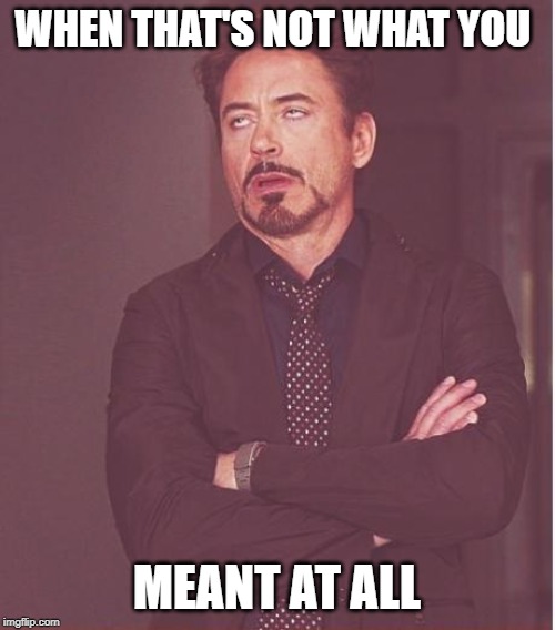 Face You Make Robert Downey Jr | WHEN THAT'S NOT WHAT YOU; MEANT AT ALL | image tagged in memes,face you make robert downey jr | made w/ Imgflip meme maker