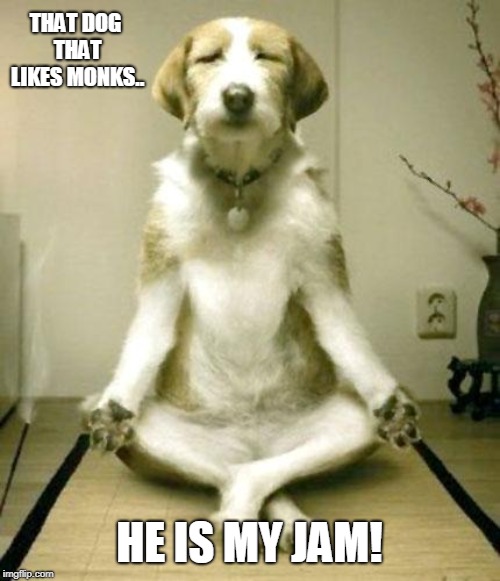 Inner Peace Dog | THAT DOG THAT LIKES MONKS.. HE IS MY JAM! | image tagged in inner peace dog | made w/ Imgflip meme maker