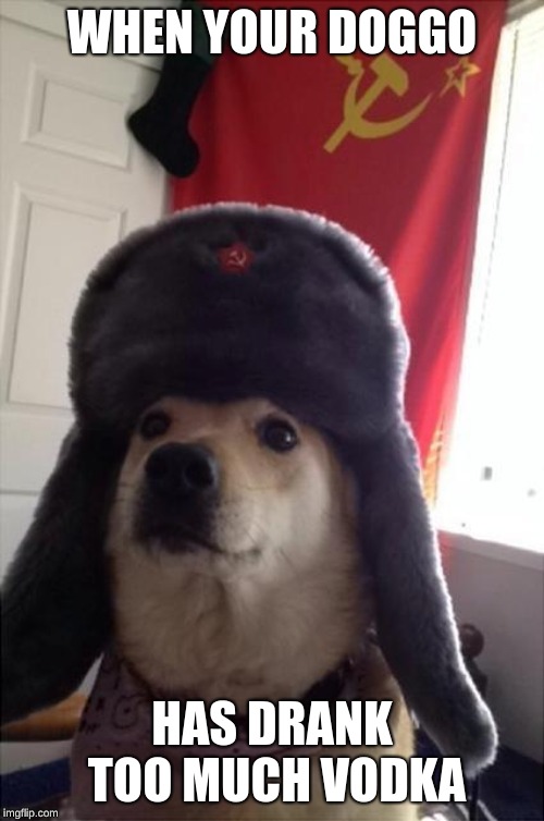 WHEN YOUR DOGGO; HAS DRANK TOO MUCH VODKA | image tagged in when your doggo | made w/ Imgflip meme maker