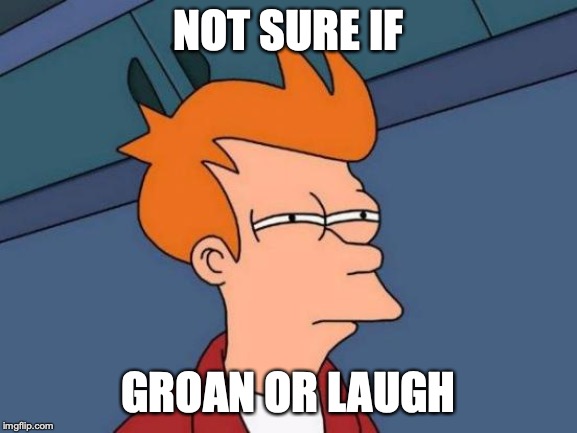Futurama Fry Meme | NOT SURE IF GROAN OR LAUGH | image tagged in memes,futurama fry | made w/ Imgflip meme maker