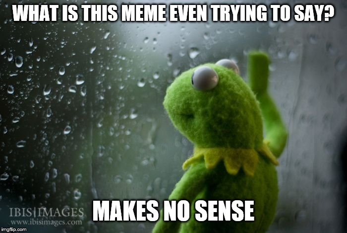 kermit window | WHAT IS THIS MEME EVEN TRYING TO SAY? MAKES NO SENSE | image tagged in kermit window | made w/ Imgflip meme maker
