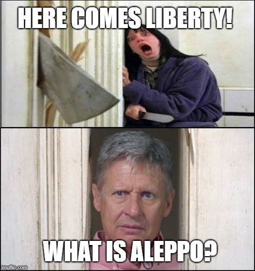 HERE COMES LIBERTY! WHAT IS ALEPPO? | image tagged in gary shining | made w/ Imgflip meme maker