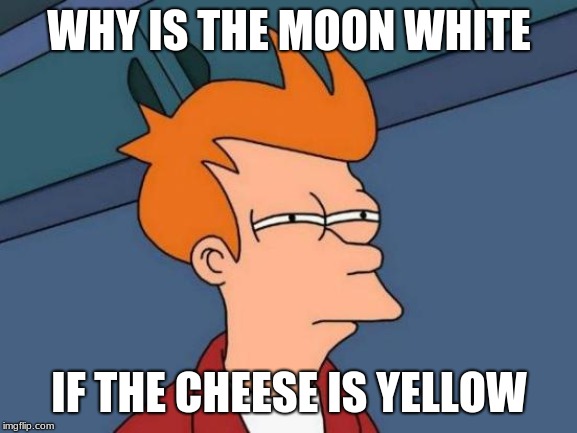 Futurama Fry | WHY IS THE MOON WHITE; IF THE CHEESE IS YELLOW | image tagged in memes,futurama fry | made w/ Imgflip meme maker