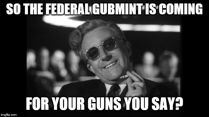 dr strangelove | SO THE FEDERAL GUBMINT IS COMING FOR YOUR GUNS YOU SAY? | image tagged in dr strangelove | made w/ Imgflip meme maker