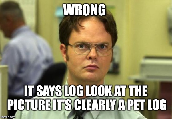 Dwight Schrute Meme | WRONG IT SAYS LOG LOOK AT THE PICTURE IT’S CLEARLY A PET LOG | image tagged in memes,dwight schrute | made w/ Imgflip meme maker