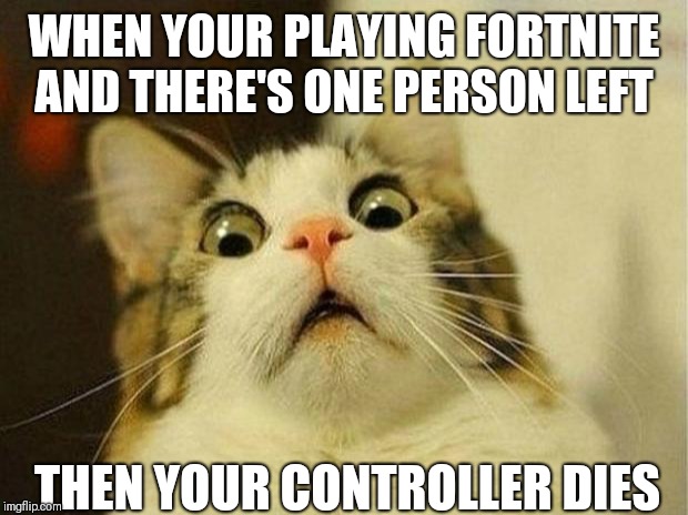 Scared Cat Meme | WHEN YOUR PLAYING FORTNITE AND THERE'S ONE PERSON LEFT; THEN YOUR CONTROLLER DIES | image tagged in memes,scared cat | made w/ Imgflip meme maker