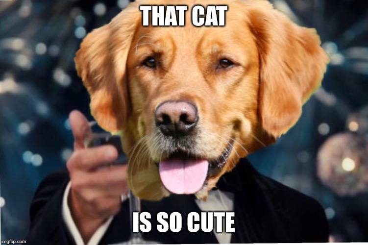 Dog Cheers! | THAT CAT IS SO CUTE | image tagged in dog cheers | made w/ Imgflip meme maker