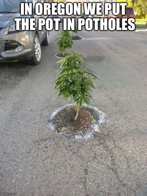 That’s how we do it |  IN OREGON WE PUT THE POT IN POTHOLES | image tagged in oregon | made w/ Imgflip meme maker