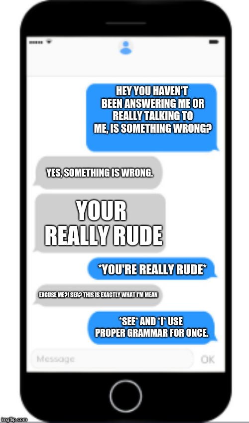 when in a fight with friends that don't know grammar | HEY YOU HAVEN'T BEEN ANSWERING ME OR REALLY TALKING TO ME, IS SOMETHING WRONG? YES, SOMETHING IS WRONG. YOUR REALLY RUDE; *YOU'RE REALLY RUDE*; EXCUSE ME?! SEA? THIS IS EXACTLY WHAT I'M MEAN; *SEE* AND *I* USE PROPER GRAMMAR FOR ONCE. | image tagged in grammar,texting | made w/ Imgflip meme maker