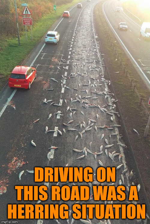 Turned out to be a flat fish | DRIVING ON THIS ROAD WAS A HERRING SITUATION | image tagged in meme,fishing for upvotes,driving,road | made w/ Imgflip meme maker