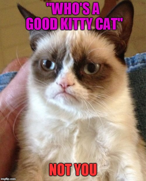 Grumpy Cat | "WHO'S A GOOD KITTY CAT"; NOT YOU | image tagged in memes,grumpy cat | made w/ Imgflip meme maker