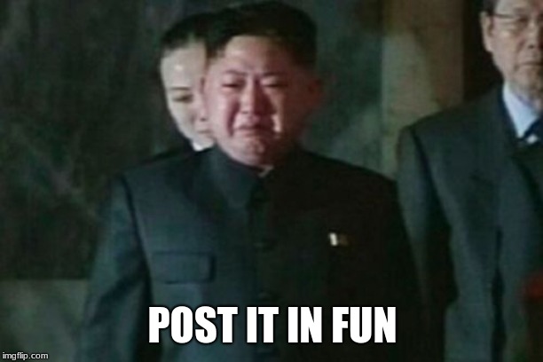 Kim Jong Un Sad Meme | POST IT IN FUN | image tagged in memes,kim jong un sad | made w/ Imgflip meme maker
