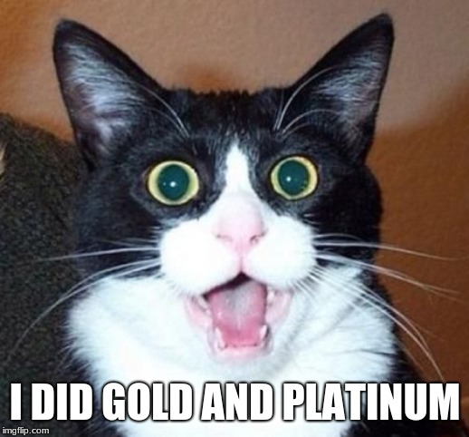 whoa cat | I DID GOLD AND PLATINUM | image tagged in whoa cat | made w/ Imgflip meme maker