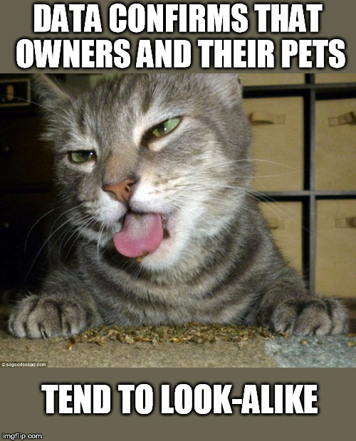 DATA CONFIRMS THAT OWNERS AND THEIR PETS TEND TO LOOK-ALIKE | made w/ Imgflip meme maker