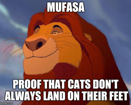MUFASA; PROOF THAT CATS DON'T ALWAYS LAND ON THEIR FEET | image tagged in grinning mufasa | made w/ Imgflip meme maker