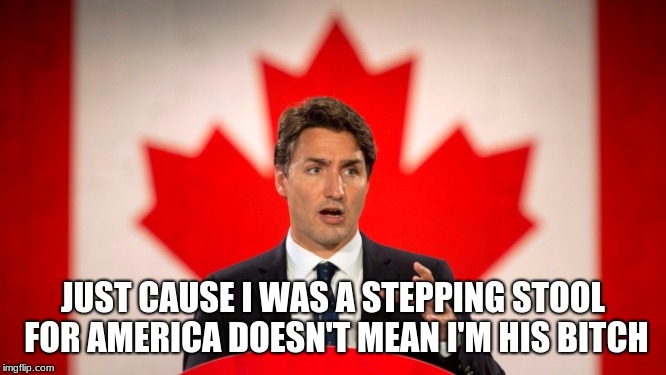 Justin Trudeau | JUST CAUSE I WAS A STEPPING STOOL FOR AMERICA DOESN'T MEAN I'M HIS B**CH | image tagged in justin trudeau | made w/ Imgflip meme maker