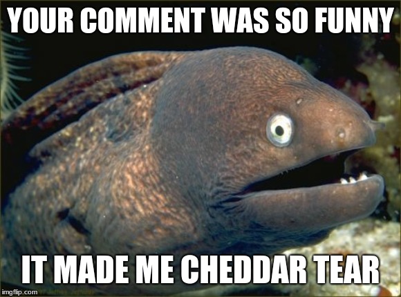 Bad Joke Eel Meme | YOUR COMMENT WAS SO FUNNY IT MADE ME CHEDDAR TEAR | image tagged in memes,bad joke eel | made w/ Imgflip meme maker