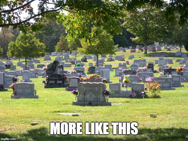 cemetery | MORE LIKE THIS | image tagged in cemetery | made w/ Imgflip meme maker