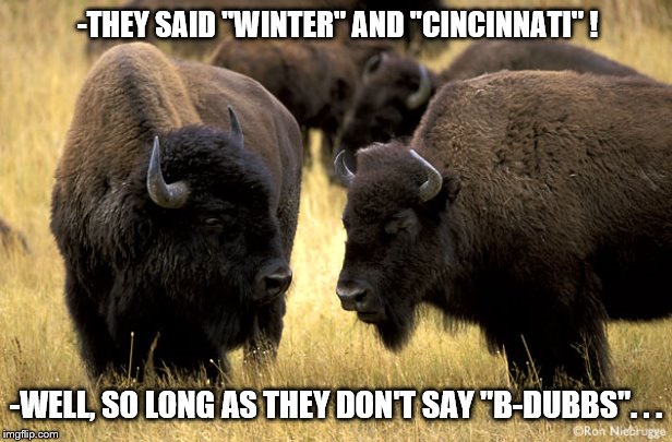 Buffalo Support | -THEY SAID ''WINTER'' AND ''CINCINNATI'' ! -WELL, SO LONG AS THEY DON'T SAY ''B-DUBBS''. . . | image tagged in buffalo support | made w/ Imgflip meme maker