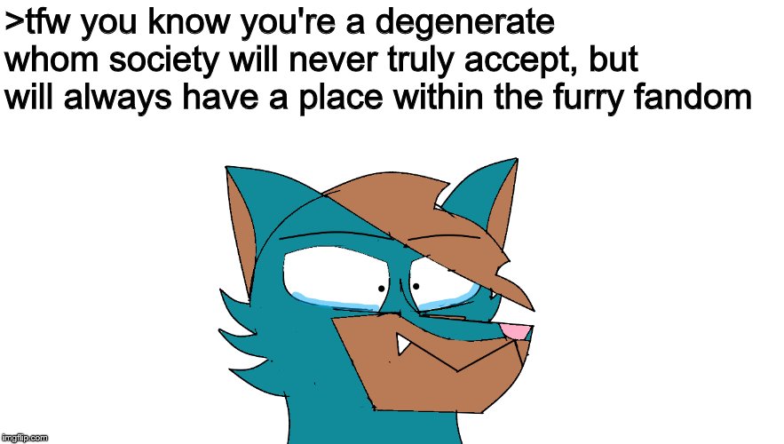 >tfw you know you're a degenerate whom society will never truly accept, but will always have a place within the furry fandom | image tagged in memes,cry,furry,society | made w/ Imgflip meme maker