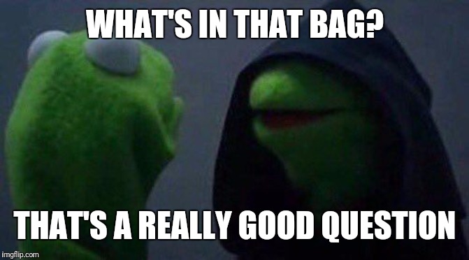 kermit me to me | WHAT'S IN THAT BAG? THAT'S A REALLY GOOD QUESTION | image tagged in kermit me to me | made w/ Imgflip meme maker