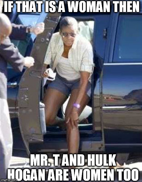 Michelle (  Michael)  obama  | IF THAT IS A WOMAN THEN; MR. T AND HULK HOGAN ARE WOMEN TOO | image tagged in michelle obama,is a man,that aint  no  woman,hulk hogan,mr  t,if  that's | made w/ Imgflip meme maker