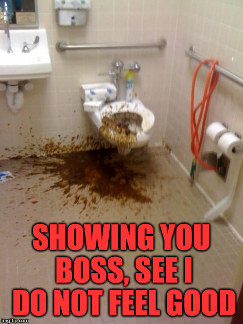 Girls poop too | SHOWING YOU BOSS, SEE I DO NOT FEEL GOOD | image tagged in girls poop too | made w/ Imgflip meme maker