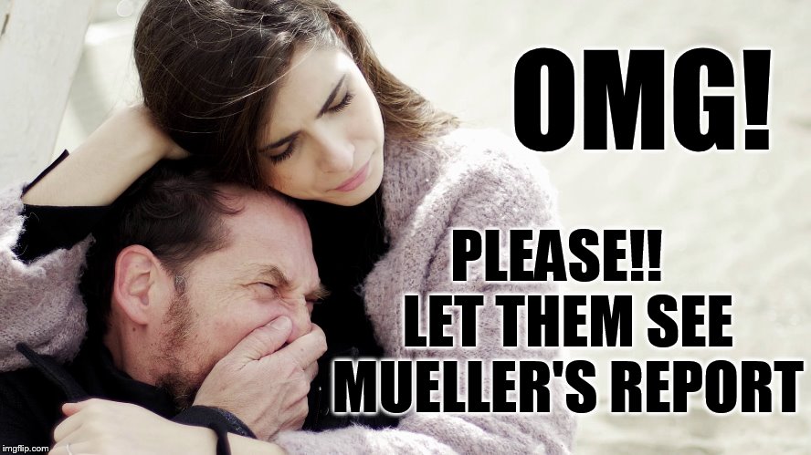 HELP US!!  FOR GOD'S SAKE!!   | OMG! PLEASE!!  LET THEM SEE MUELLER'S REPORT | image tagged in funny,memes,gifs,donald trump,robert mueller | made w/ Imgflip meme maker