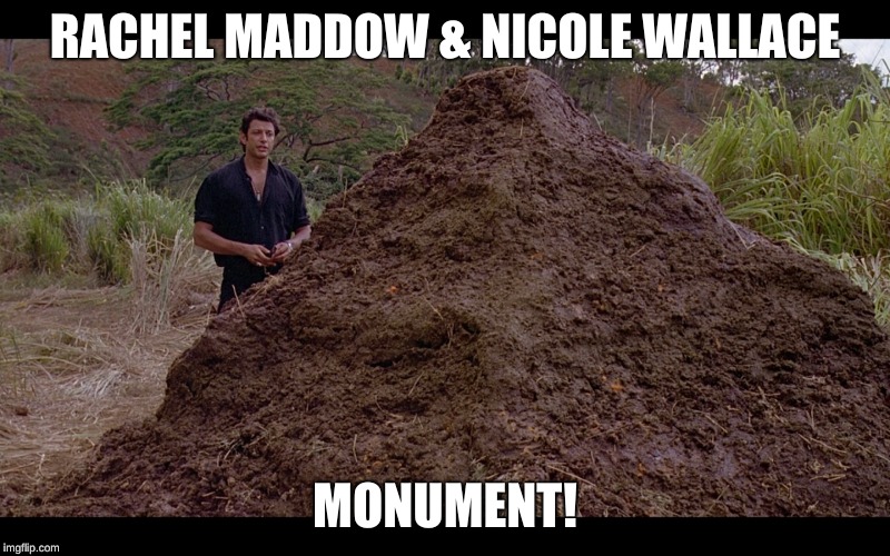 RACHEL MADDOW & NICOLE WALLACE; MONUMENT! | made w/ Imgflip meme maker