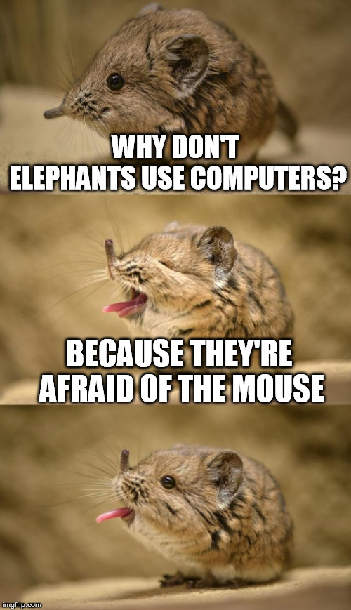 WHY DON'T ELEPHANTS USE COMPUTERS? BECAUSE THEY'RE AFRAID OF THE MOUSE | made w/ Imgflip meme maker