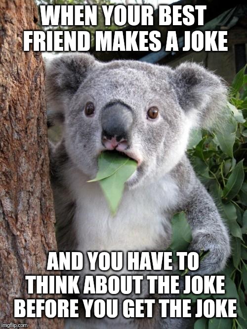 Surprised Koala Meme | WHEN YOUR BEST FRIEND MAKES A JOKE; AND YOU HAVE TO THINK ABOUT THE JOKE BEFORE YOU GET THE JOKE | image tagged in memes,surprised koala | made w/ Imgflip meme maker