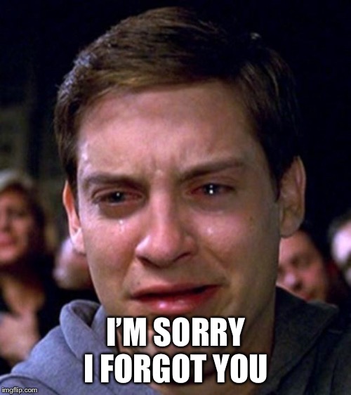crying peter parker | I’M SORRY I FORGOT YOU | image tagged in crying peter parker | made w/ Imgflip meme maker
